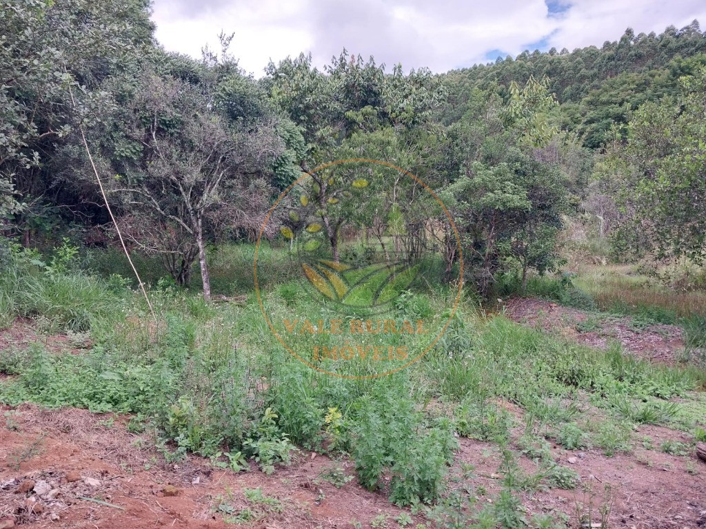 Sítio, 2 quartos, 3 hectares - Foto 34