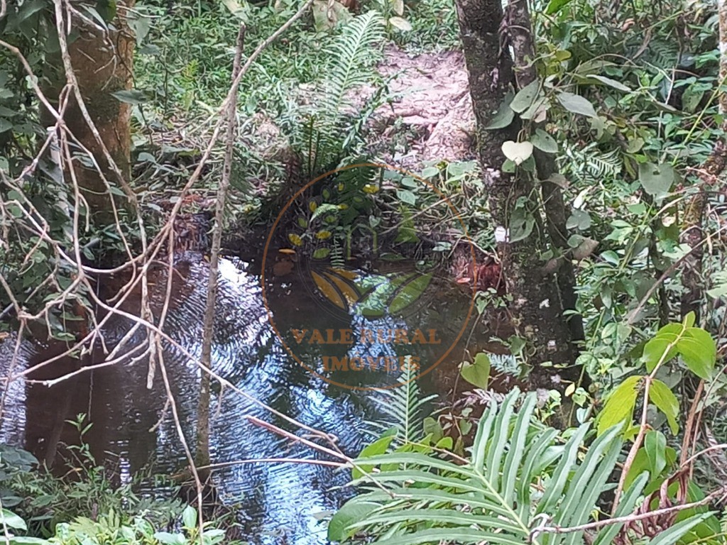 Fazenda - Foto 4