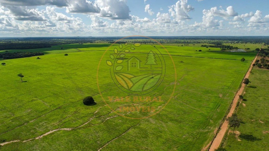 Fazenda - Foto 5