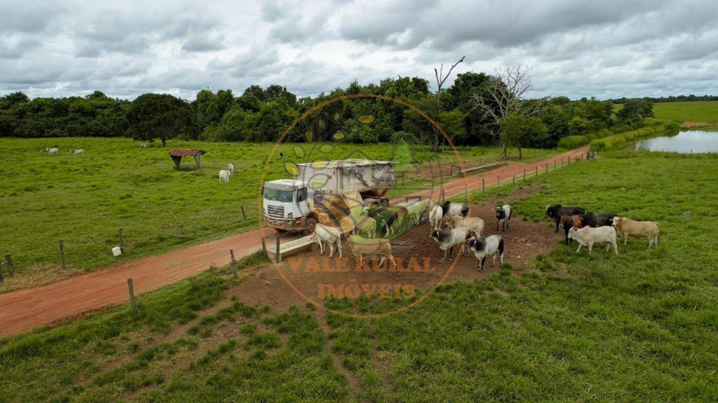 Fazenda - Foto 10