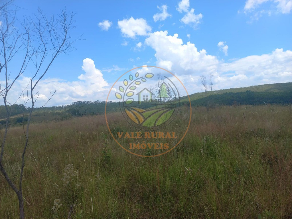 Fazenda - Foto 28