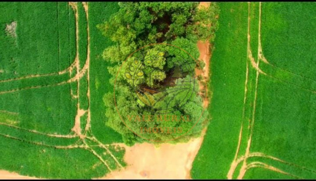 Fazenda - Foto 9