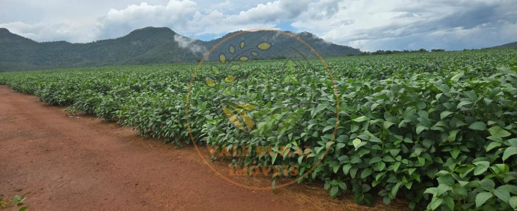 Fazenda, 1 quarto - Foto 1