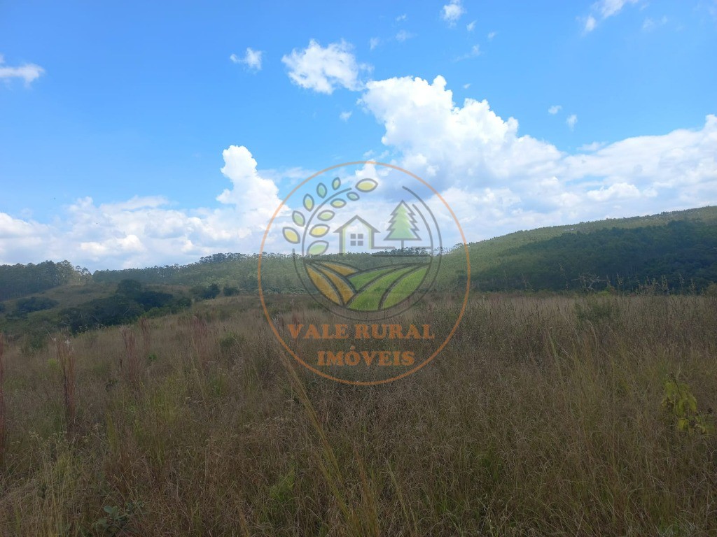 Fazenda - Foto 33