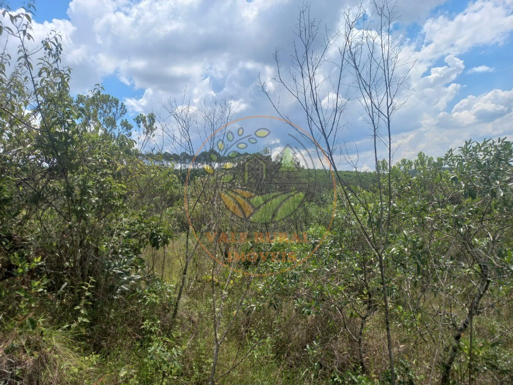 Fazenda - Foto 29