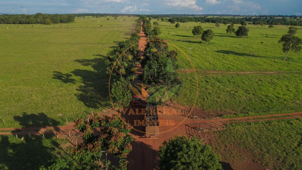 Fazenda - Foto 34