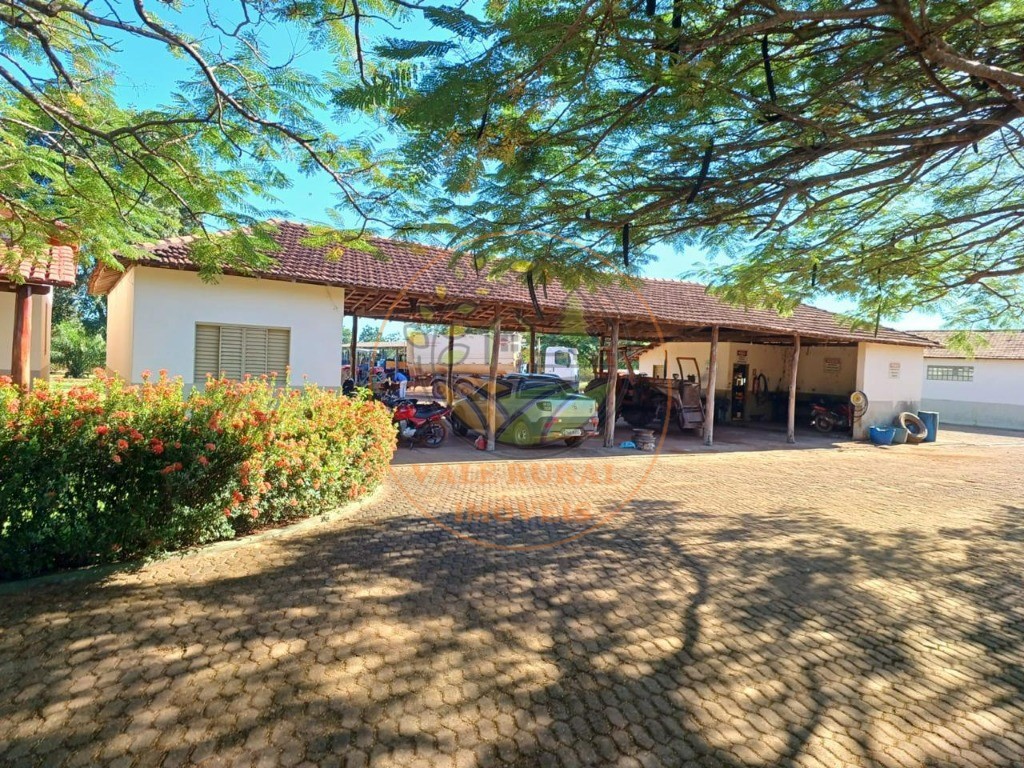 Fazenda - Foto 33