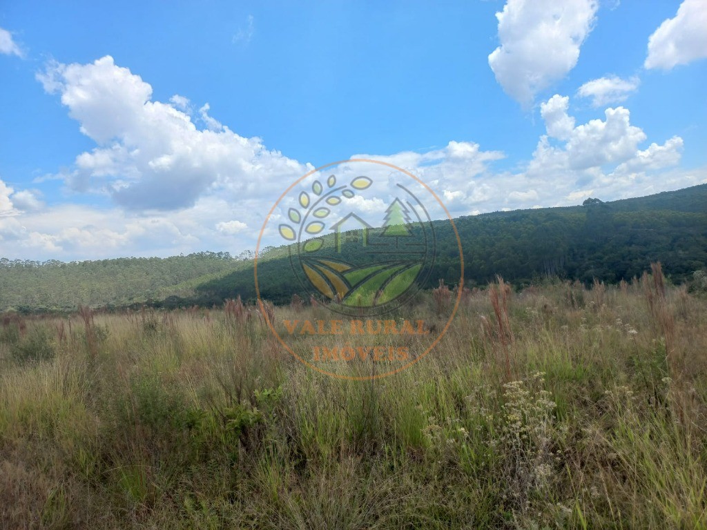 Fazenda - Foto 7