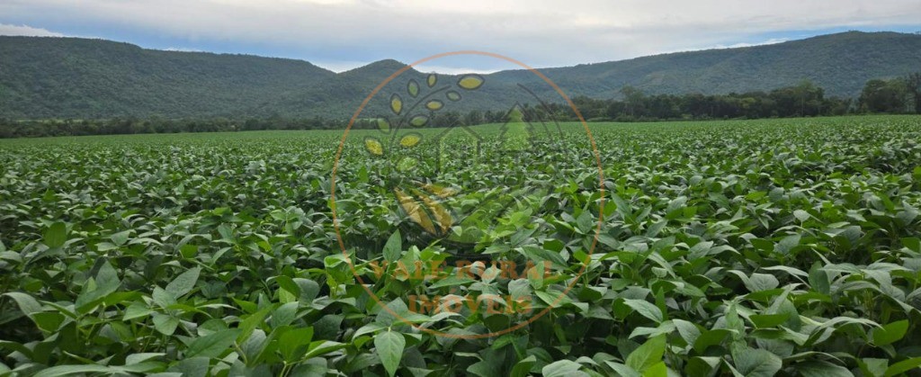 Fazenda, 1 quarto - Foto 5