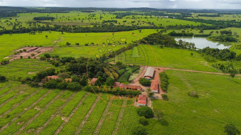 Fazenda - Foto 12