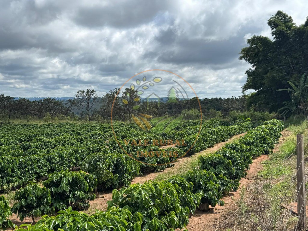 Fazenda, 4 quartos - Foto 11
