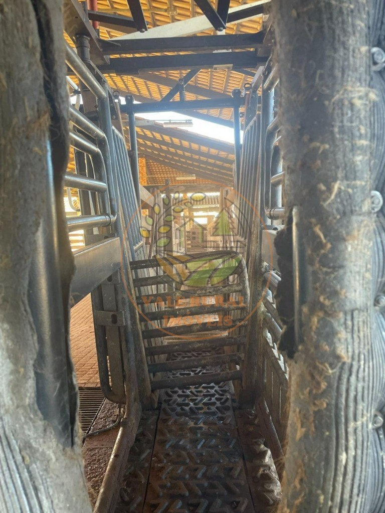 Fazenda, 3 quartos - Foto 26