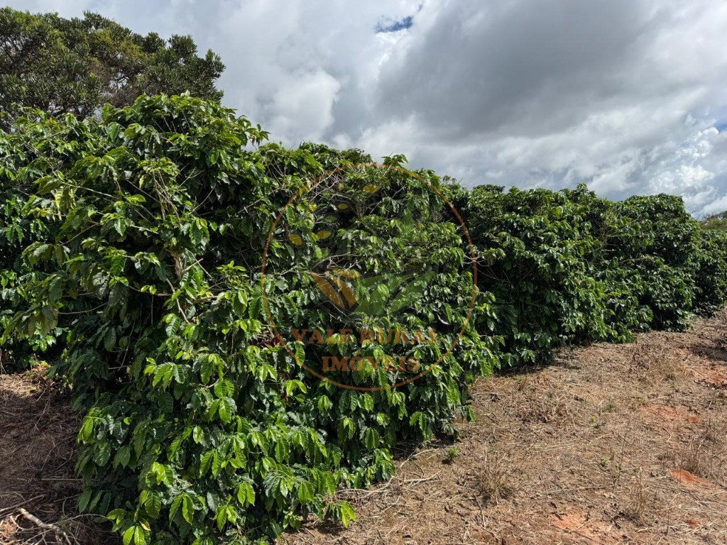 Fazenda, 4 quartos - Foto 20
