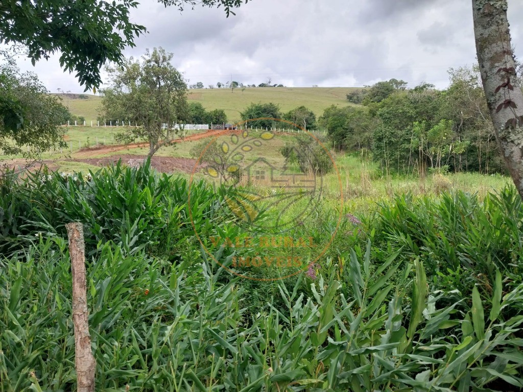 Fazenda - Foto 2