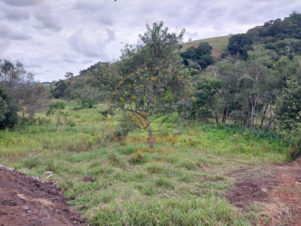 Fazenda - Foto 13