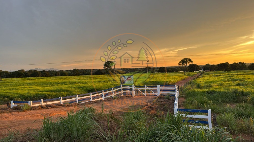 Fazenda - Foto 1