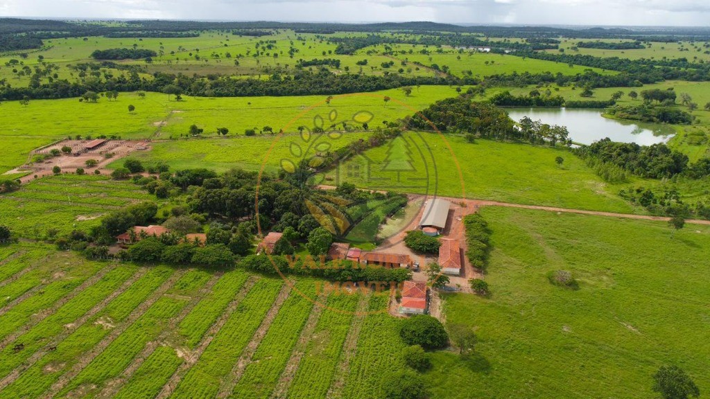 Fazenda - Foto 19