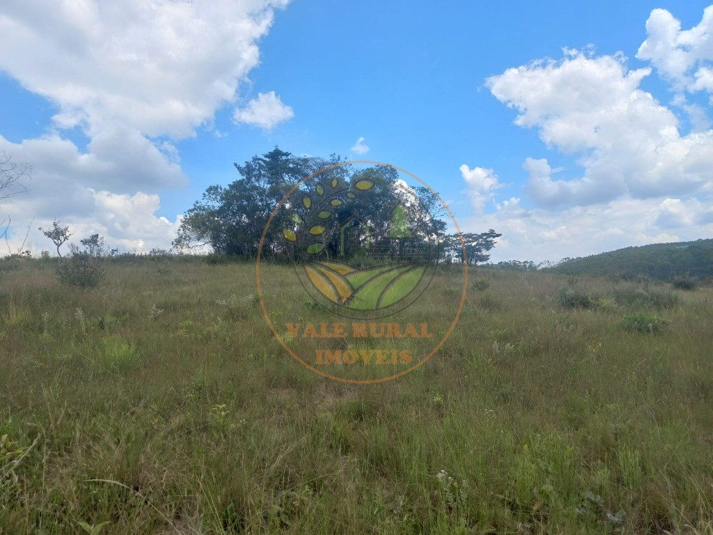 Fazenda - Foto 17