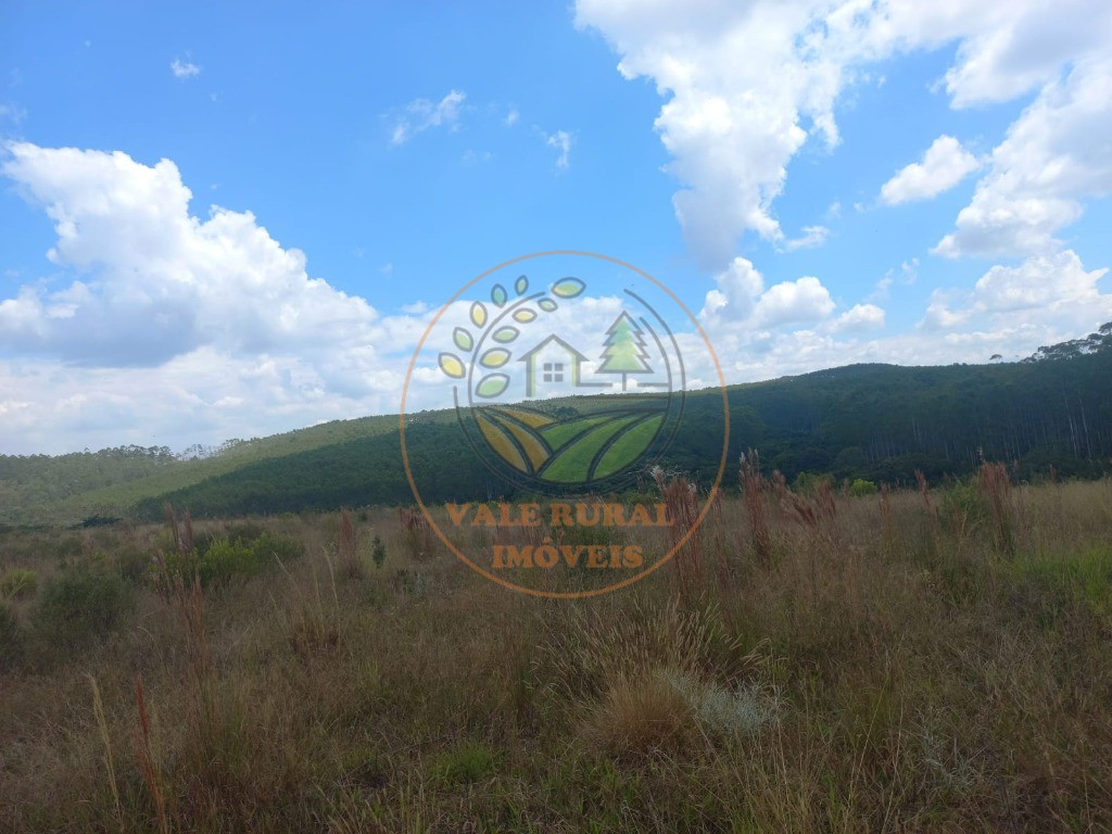 Fazenda - Foto 6