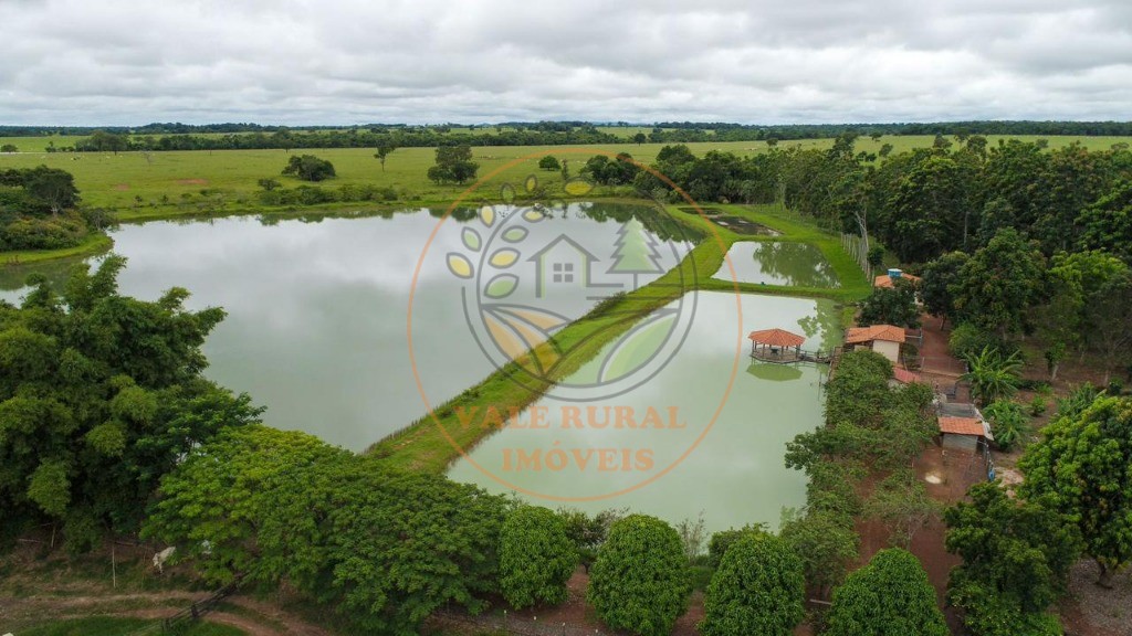 Fazenda - Foto 17
