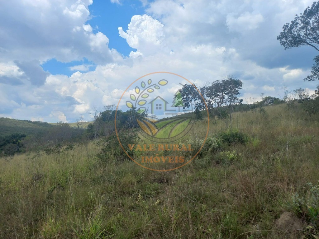 Fazenda - Foto 10