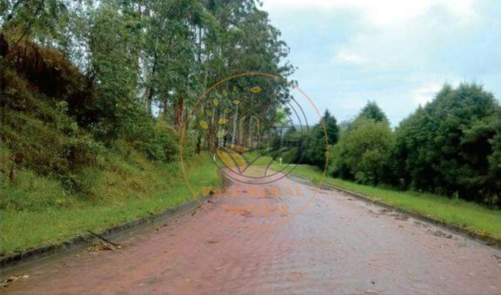 Fazenda - Foto 17