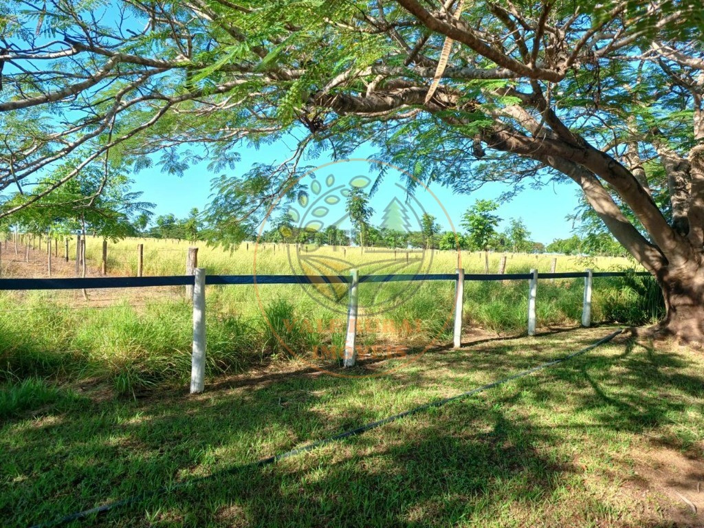 Fazenda - Foto 28