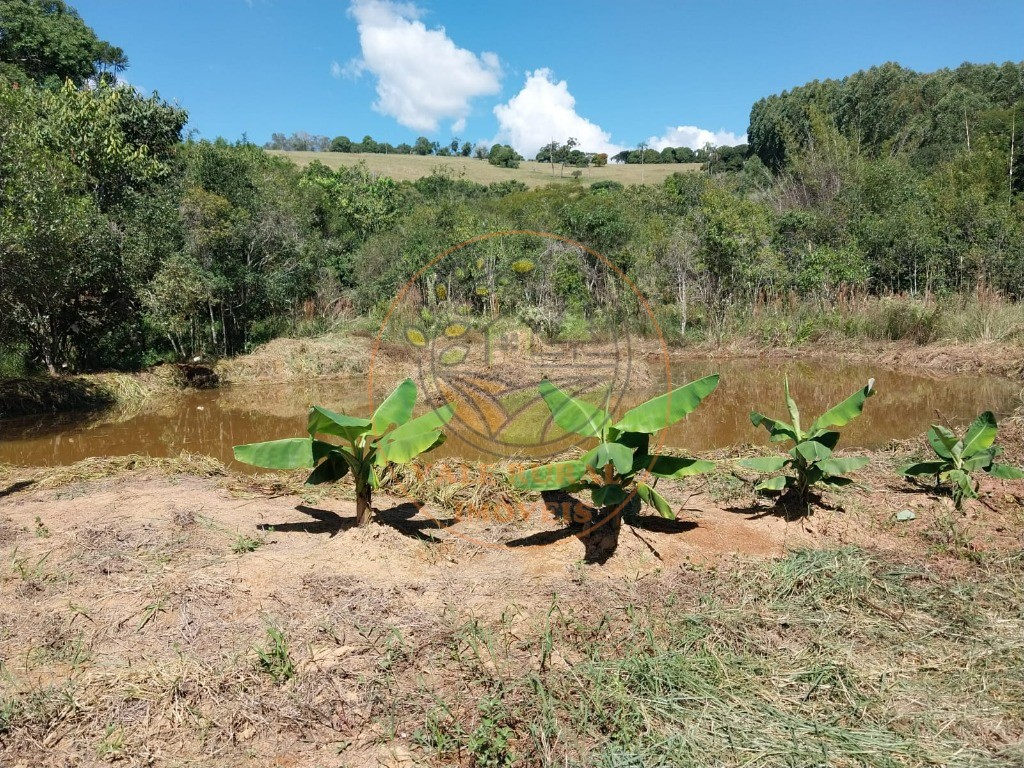 Sítio, 2 quartos, 3 hectares - Foto 12