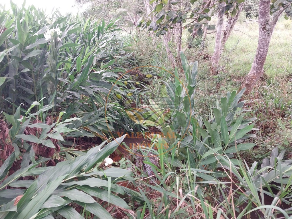 Fazenda - Foto 11