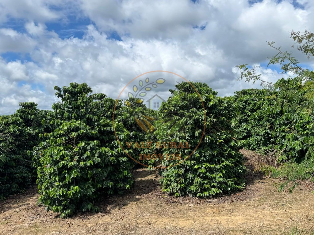 Fazenda, 4 quartos - Foto 19