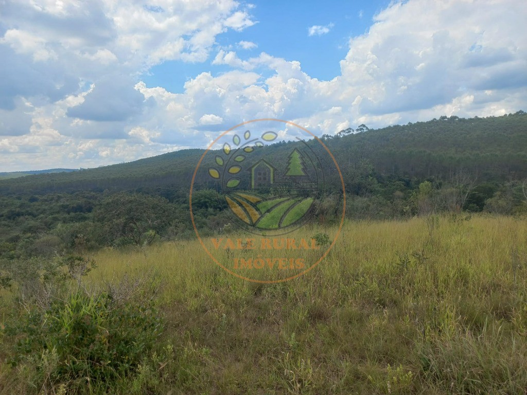Fazenda - Foto 15
