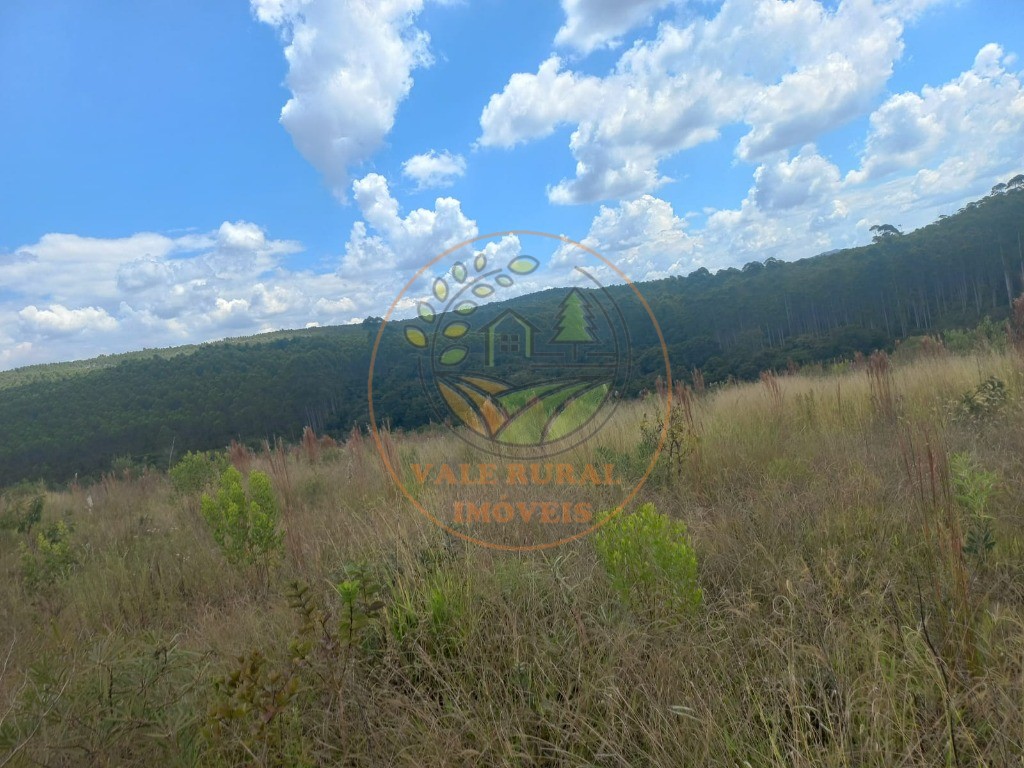 Fazenda - Foto 25