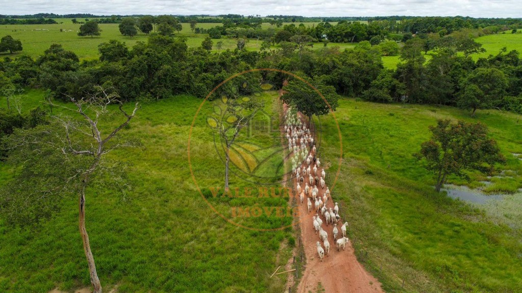 Fazenda - Foto 21