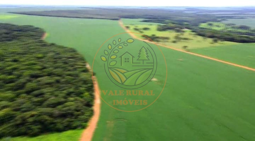 Fazenda - Foto 7