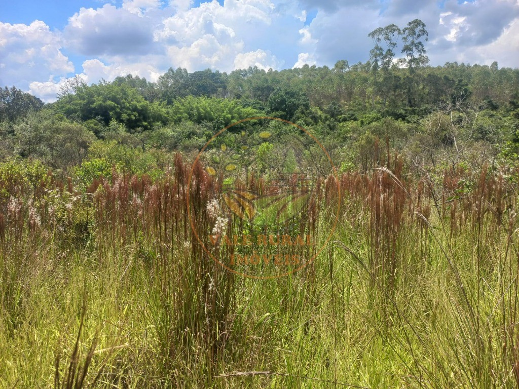 Fazenda - Foto 19