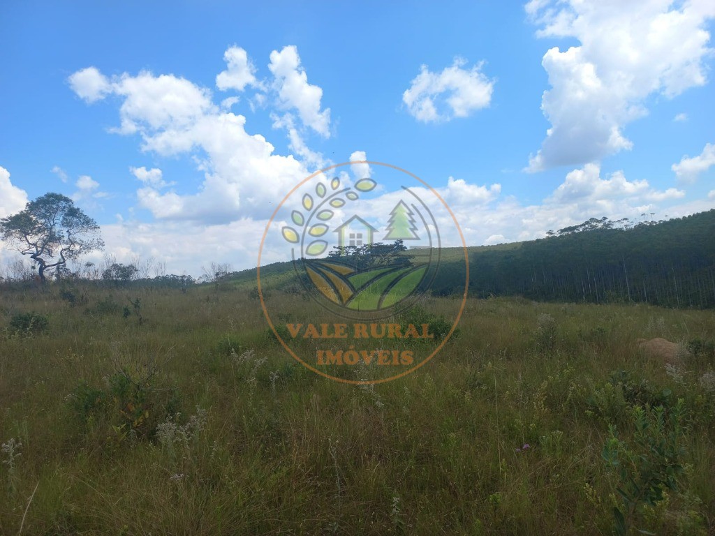 Fazenda - Foto 23