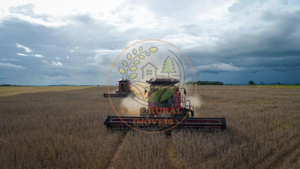 Fazenda - Foto 7