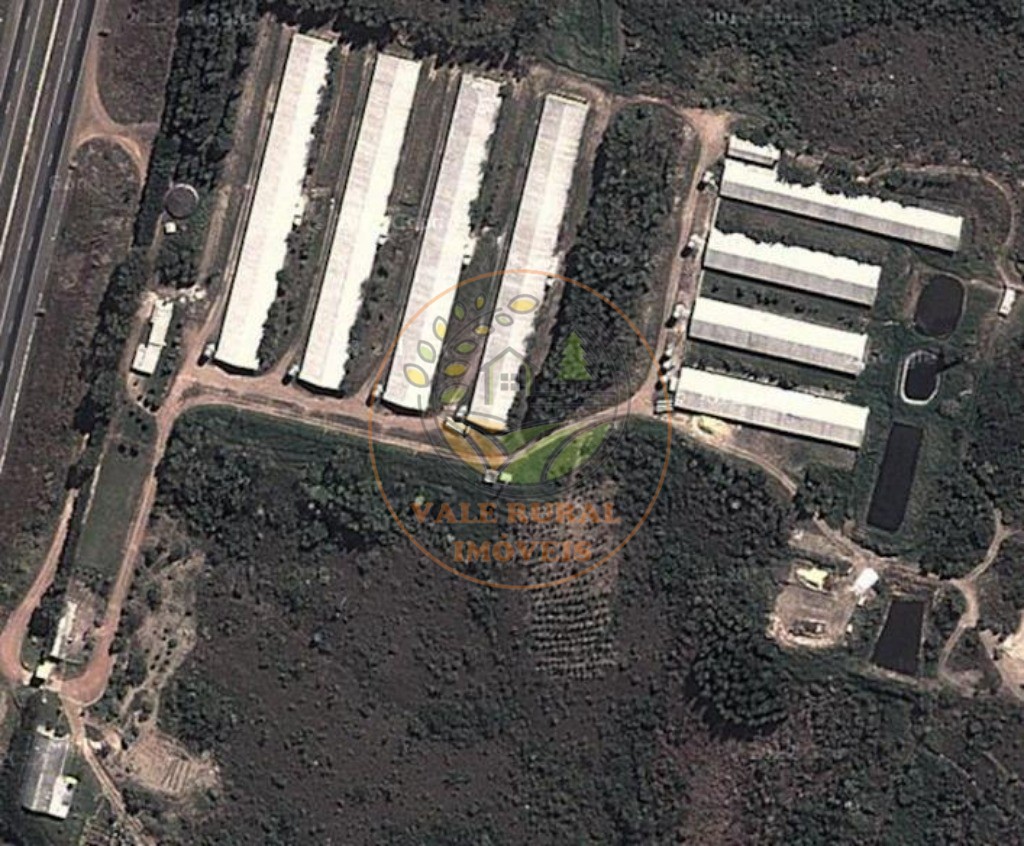 Fazenda, 4 quartos - Foto 4