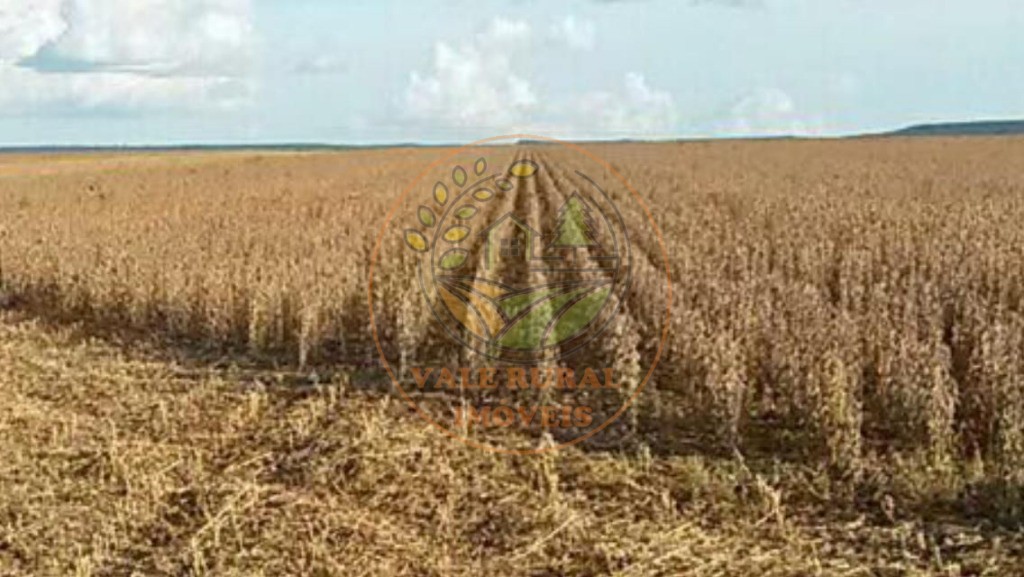 Fazenda, 5 quartos - Foto 15