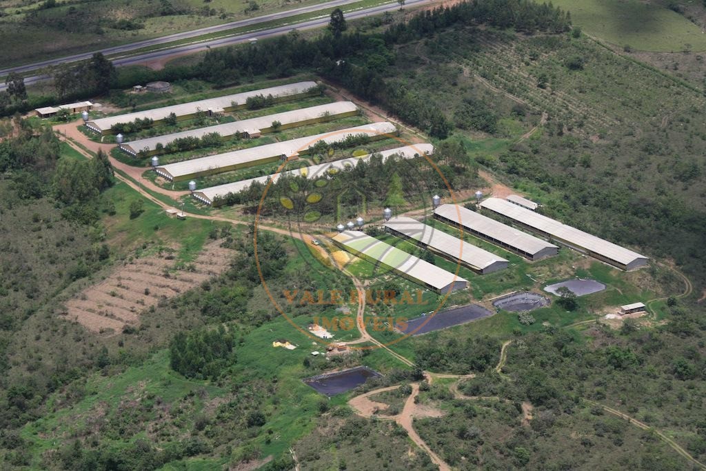 Fazenda, 4 quartos - Foto 1