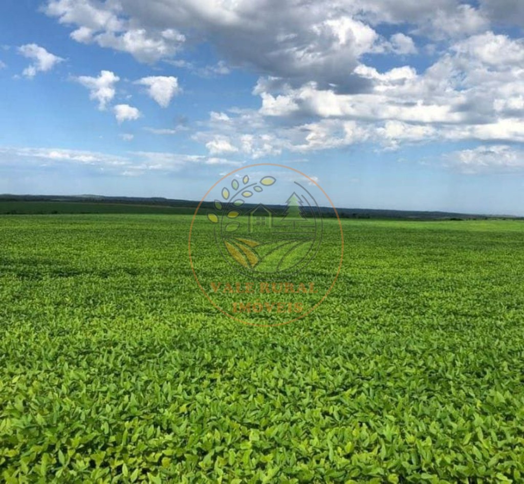 Fazenda - Foto 3