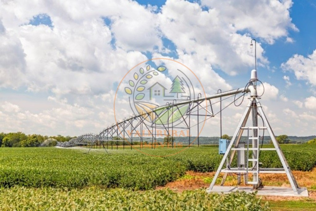 Fazenda - Foto 10