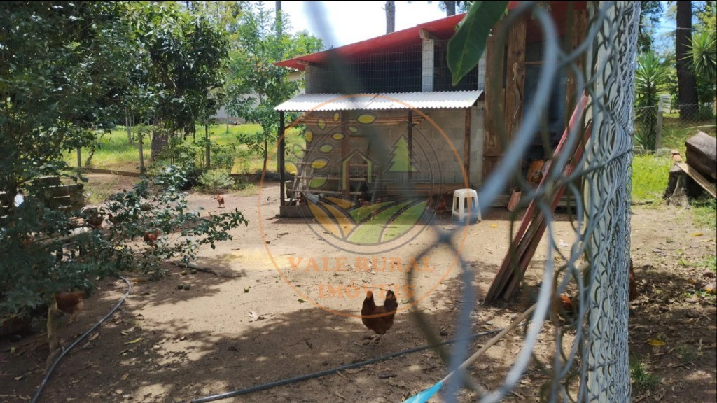 Chácara, 3 quartos - Foto 29