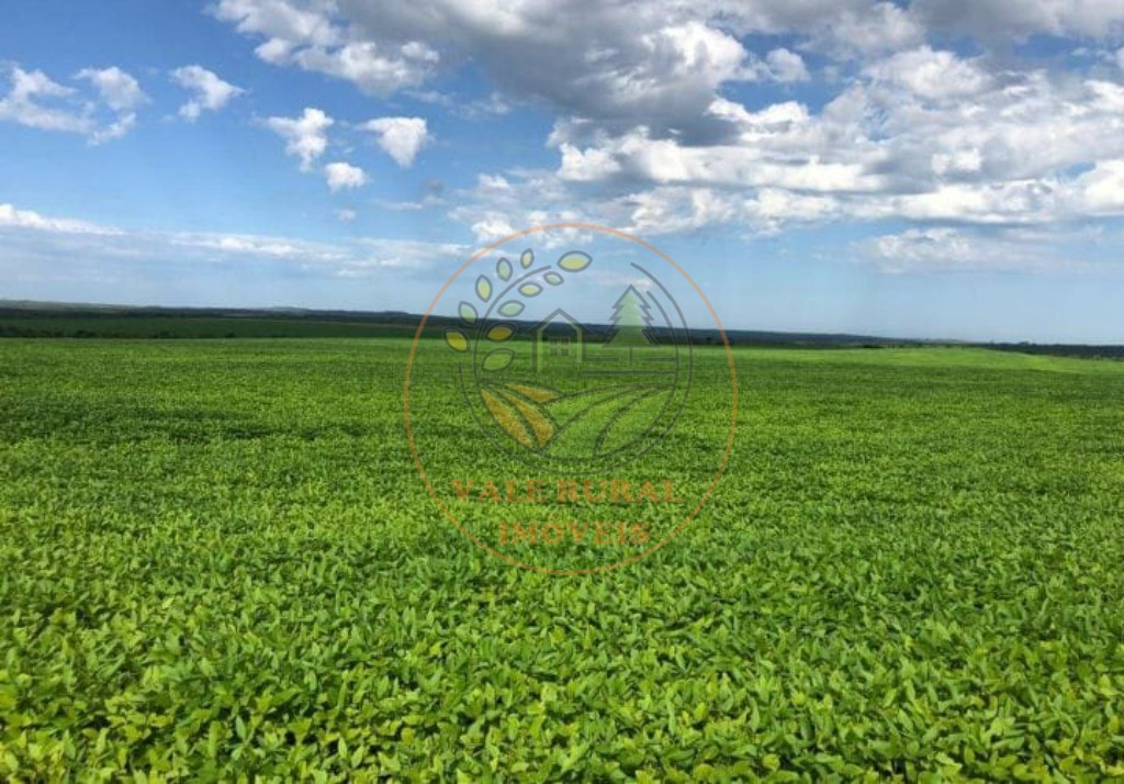 Fazenda - Foto 4