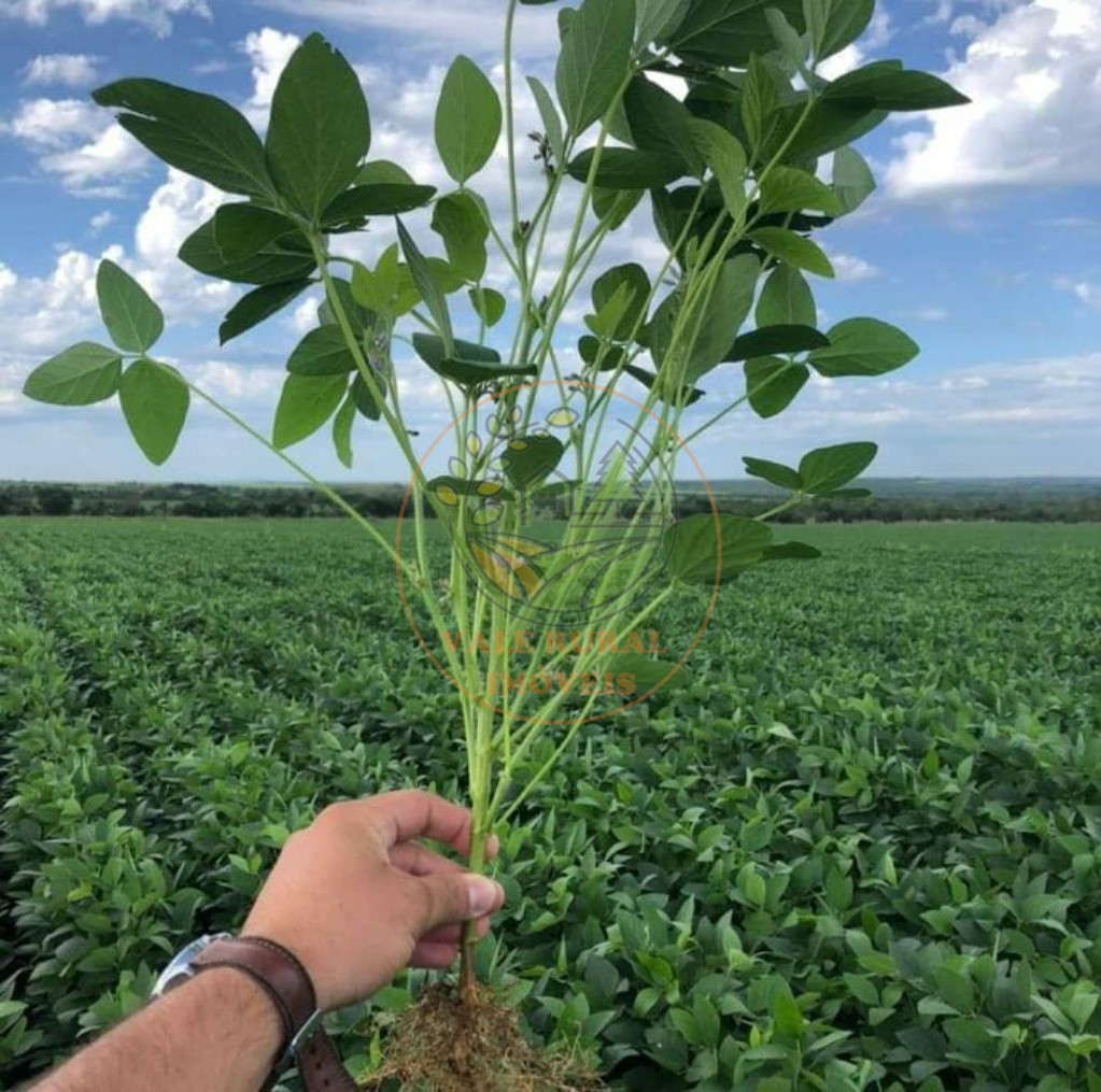 Fazenda - Foto 2