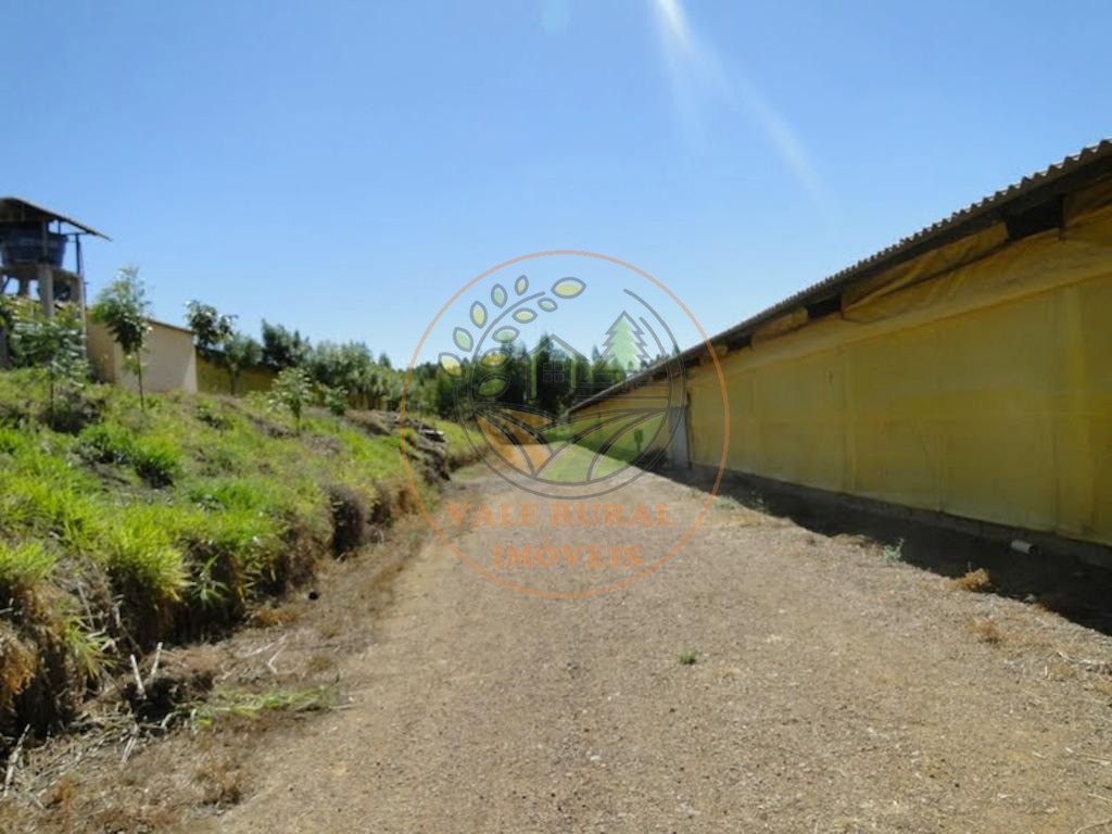 Fazenda, 4 quartos - Foto 45