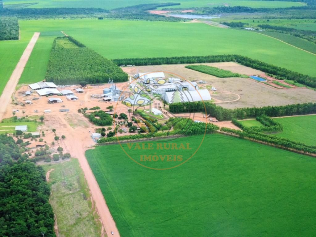 Fazenda, 5 quartos - Foto 13