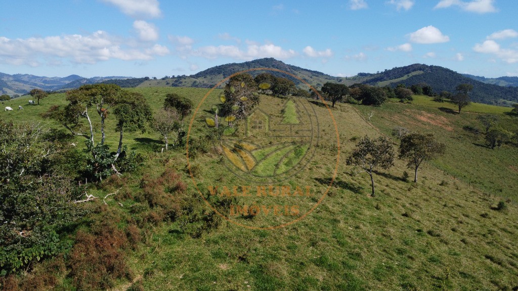 Fazenda - Foto 49