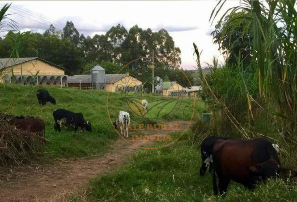Fazenda, 4 quartos - Foto 30