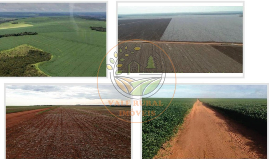 Fazenda, 5 quartos - Foto 5